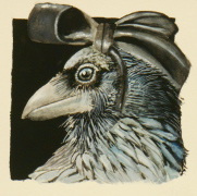 raven-illustration