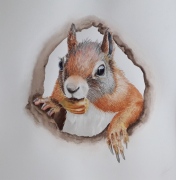 1_squirrel