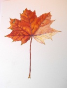 autumn-leaf-2